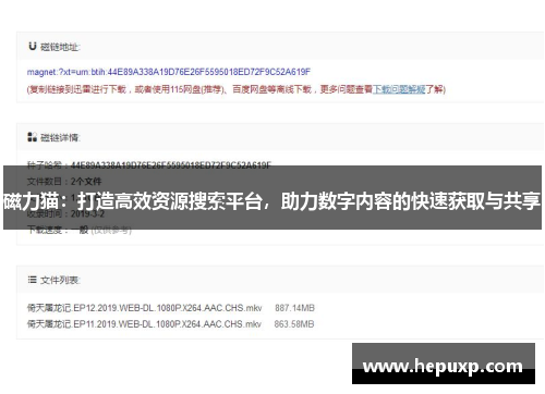 磁力猫：打造高效资源搜索平台，助力数字内容的快速获取与共享